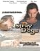 Stray Dogs
