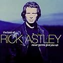 Never Gonna Give You Up - The Best of Rick Astley