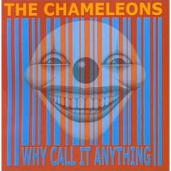 Why Call It Anything?