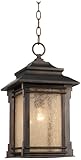 Franklin Iron Works Hickory Point Hanging Outdoor Light
