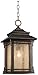 Franklin Iron Works Hickory Point Hanging Outdoor Light