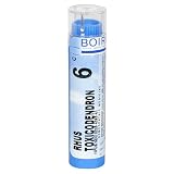 Boiron Homeopathic Medicine Rhus Toxicodendron, 6C Pellets, 80-Count Tubes (Pack of 5)