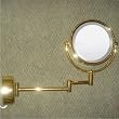 Lighted Fluorescent Wall Mount Double Sided 10X Magnifying Makeup Mirror in Gold