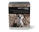 Gift Republic: Adopt A Meerkat Gift Box
