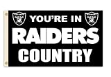 NFL Oakland Raiders 3-by-5 Foot