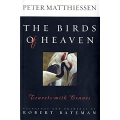 The Birds of Heaven: Travels with Cranes