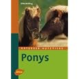 Ponys