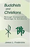 Buddhists and Christians: Through Comparative Theology to Solidarity (Faith Meets Faith Series)