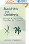 Buddhists and Christians: Through Comparative Theology to Solidarity (Faith Meets Faith Series)