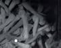 Hollowing