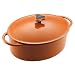 Kitchen & Housewares : Rachael Ray 5.25-qt. Covered Oval Casserole Pot- Orange