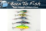 Lot of 5 New Crankbait Fishing Lures for Largemouth Bass AA