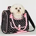 Zack & Zoey Deco Dot Carrier Teacup