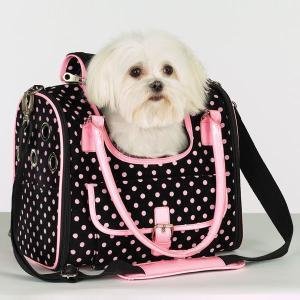 Zack & Zoey Deco Dot Carrier Teacup