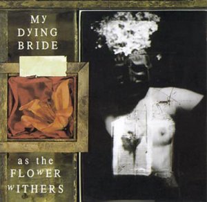 My Dying Bride - Erotic Literature Lyrics - Zortam Music