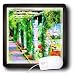 Susan Brown Designs Places Themes - Pergola - Mouse Pads Susan Brown Designs Places Themes - Pergola - Mouse Pads