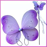 2 pc. Purple Fairy Pixie Wings & Wand Set