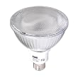Eiko 06277 - 23 Watt Indoor/Outdoor Compact Fluorescent PAR38 Flood, 3000K