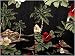 Ladies Hawaiian Hibiscus Island Camp Shirt in Black