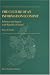 The Culture of An Information Economy: Influences and Impacts in the Republic of Ireland