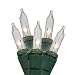 Set of 50 Clear Mini Twinkle Christmas Lights - Green Wire
