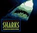 Outside And Inside Sharks