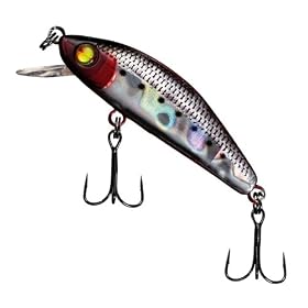 �_�C��(Daiwa) �������l �閶 4F ���� 822671