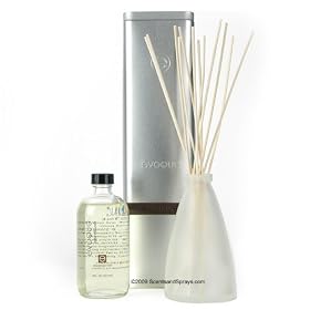 Evoque Cinnamon Noir Home Diffuser by Evoque Trapp Candles
