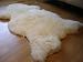 Kitchen & Housewares : Sheepskin Rug