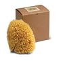 ACCESSORIES Sponge Wool Boxed Large, 2oz Gift Box