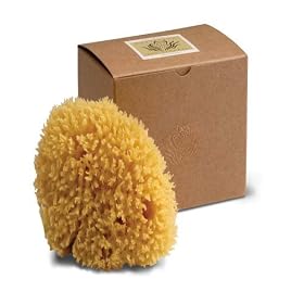 ACCESSORIES Sponge Wool Boxed Large, 2oz Gift Box