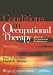 The Conditions in Occupational Therapy: Effect on Occupational Performance (Spiral Manual Series)