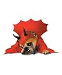 Zelda Devil Dog Costume - Pet Costume - Large