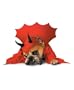 Zelda Devil Dog Costume - Pet Costume
