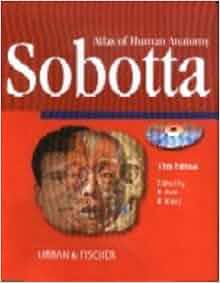 download drug interactions in