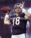 Kyle Orton Chicago Bears 8x10 Photo