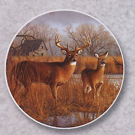 Click here to buy Deer, Our Side Of The River Auto Coaster, Single Coaster for Your Car by Highland Graphics.