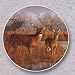Kitchen & Housewares : Deer, Our Side Of The River Auto Coaster, Single Coaster for Your Car