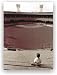 Tiger Stadium Boy in the Bleachers Greeting Card