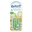 Refresh Your Car Vent Sticks -Cucmber Melon