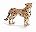 CHEETAH FEMALE by Schleich