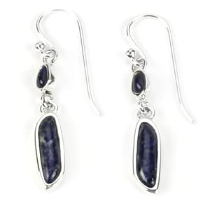 Barse Sterling Silver Linear Lapis Dangle Earrings