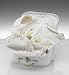 Fairtrade Organic Cotton 3 Piece Bird Gift Set