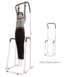 GT アクティブストレッチャー（ぶら下がり健康器）870199