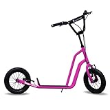 Buggycross バギークロス アルメリアピンク 12inch BGW-12PK