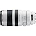 Canon EF 100-400mm f4.5-5.6L IS USM Telephoto Zoom Lens for Canon SLR Cameras