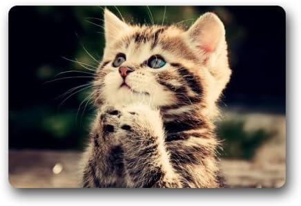 Elegant Pattern Praying Cat Rectangle Entryways Non Slip Doormat Floor Mat - 23.6"(L) x 15.7"(W),by Lai en zhou