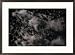 Aerial view of stampeding wildebeests Framed Art Poster Print by Chris Johns, 29x21