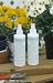 Super Plant Growth Hormone Spray- 8 Oz