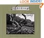 Abiding: Landscape of the Soul